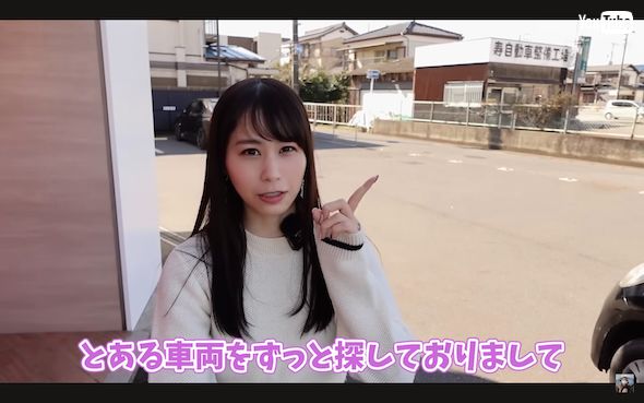 あま猫