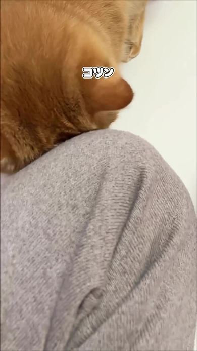 赤ちゃんの足に顔をすりつけるニャンコ