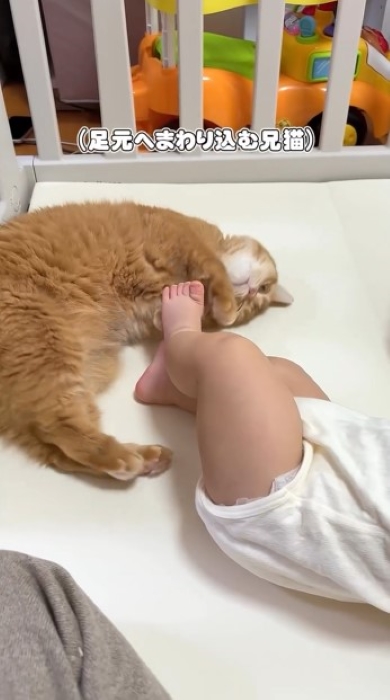 赤ちゃんの足元に寝転ぶニャンコ