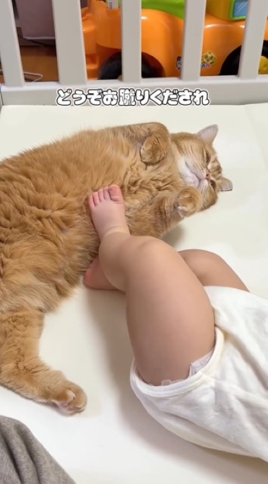 赤ちゃんの足元に寝転ぶニャンコ