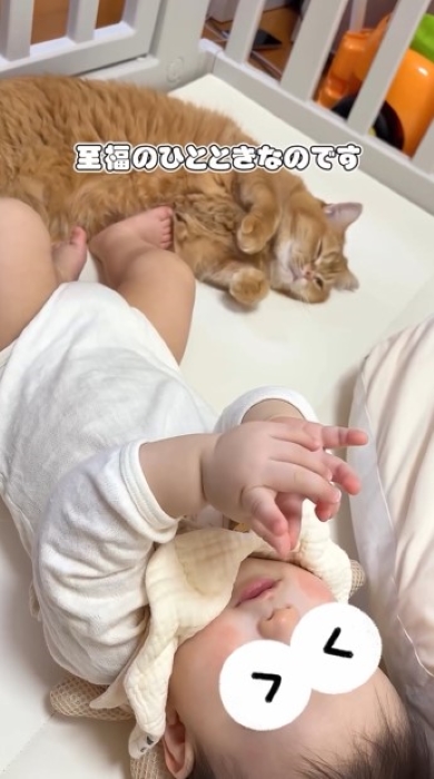 赤ちゃんの足元に寝転ぶニャンコ