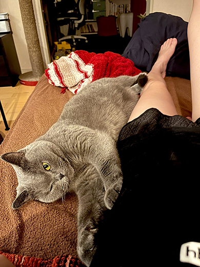 投稿主さんの足にひっつく猫ちゃん