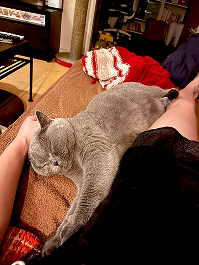 投稿主さんの足にひっついて目を閉じている猫ちゃん