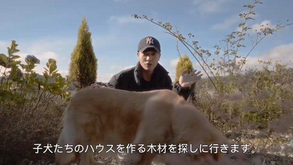 保護 子犬 ハウス DIY 廃材 手作り ベトナム ダラット