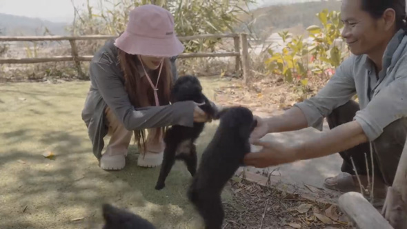 保護 子犬 ハウス DIY 廃材 手作り ベトナム ダラット