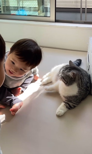 兄弟と猫ちゃんの三角関係