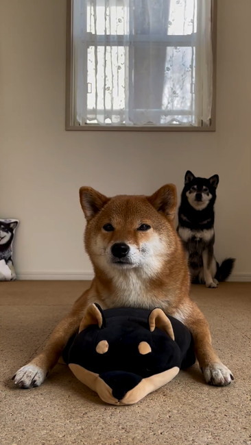 柴タワー