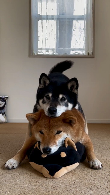 3段完成
