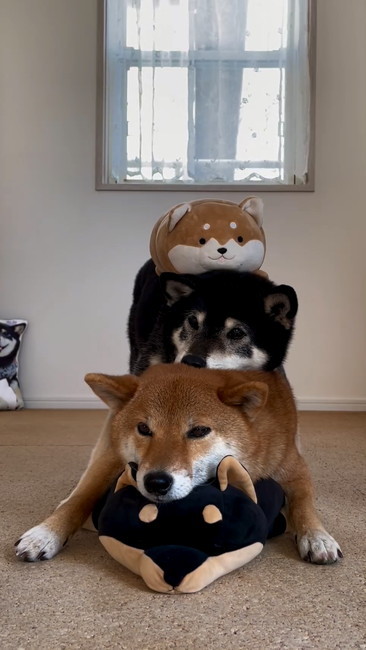 4段
