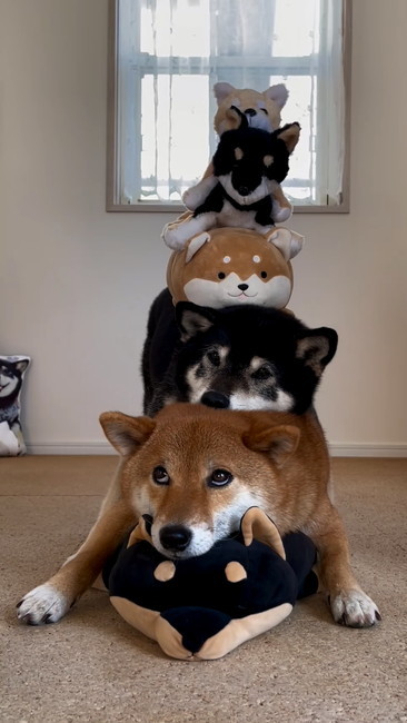 上目遣い