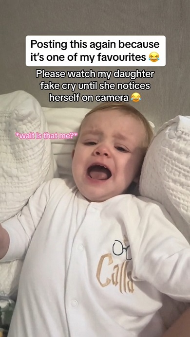 画面内の自分に気付くまでうそ泣きしていた赤ちゃん