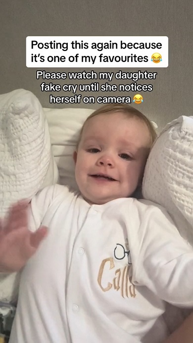 画面内の自分に気付くまでうそ泣きしていた赤ちゃん