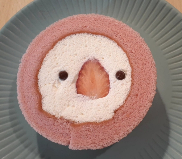ロールケーキ 文鳥