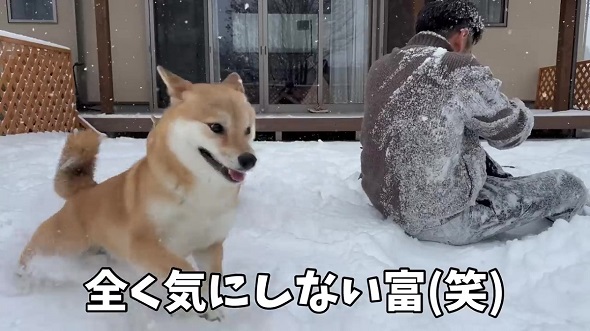 雪の中で遊ぶワンコ