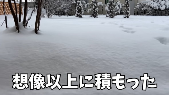 積もった雪