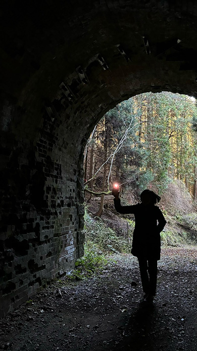 サスペンス 面白 夫婦