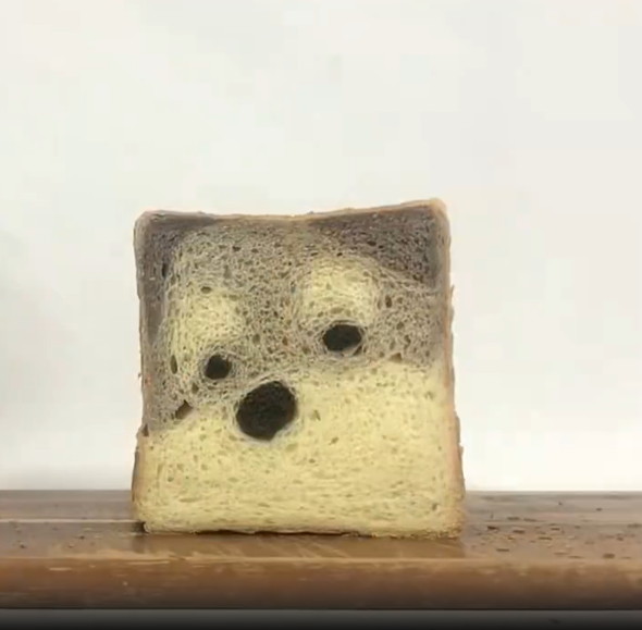 断面がワンコのパン