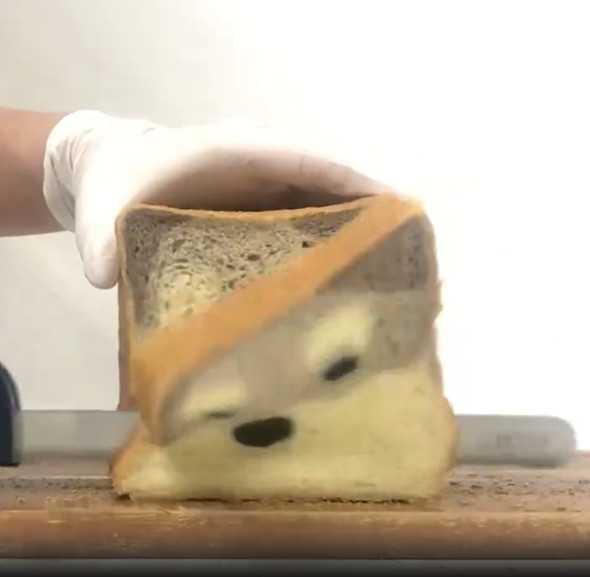 断面がワンコのパン