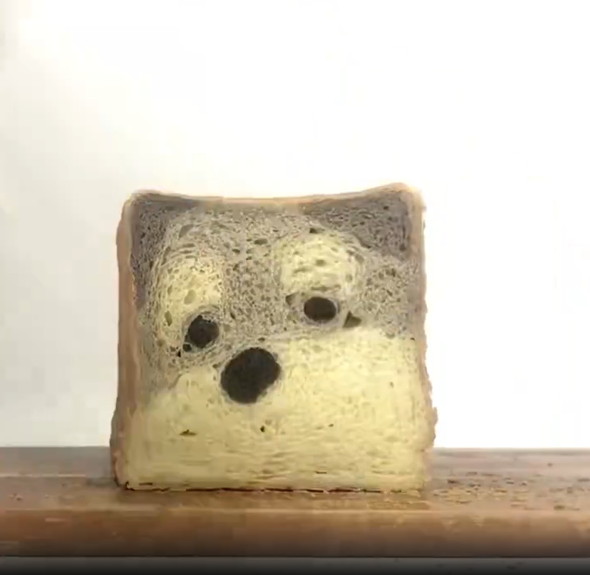 断面がワンコのパン