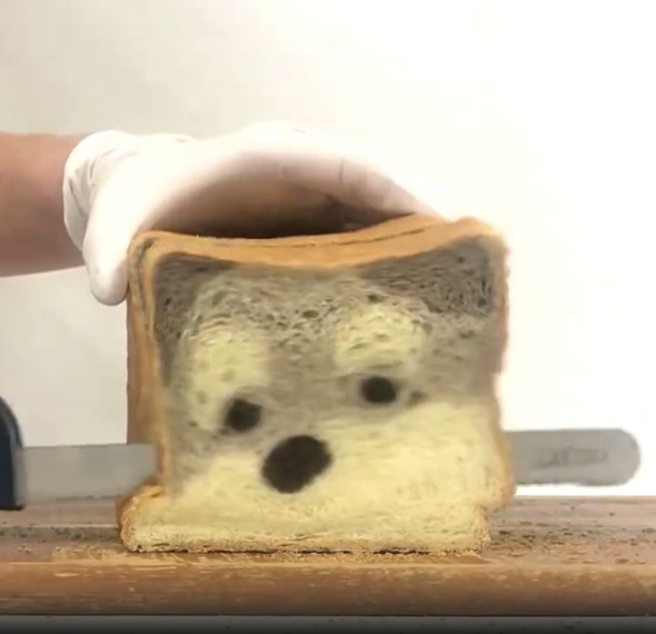 断面がワンコのパン