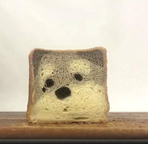 断面がワンコのパン