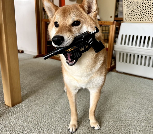 拳銃のおもちゃワンコ