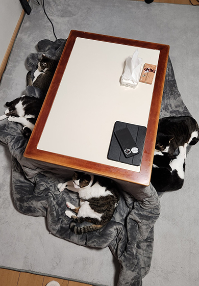 机の上にティッシュ