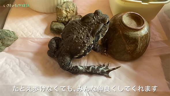 たとえ歩けなくても