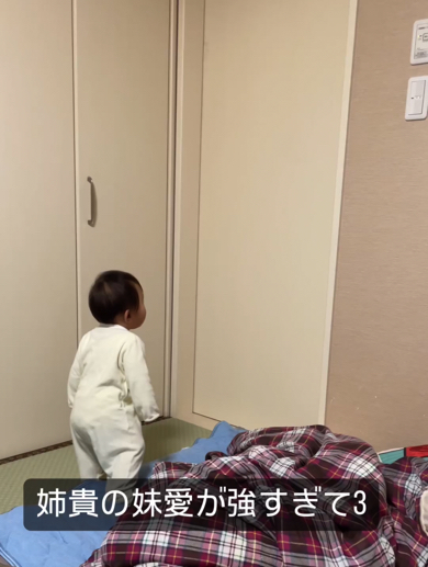 妹愛が強い姉に身構える赤ちゃん