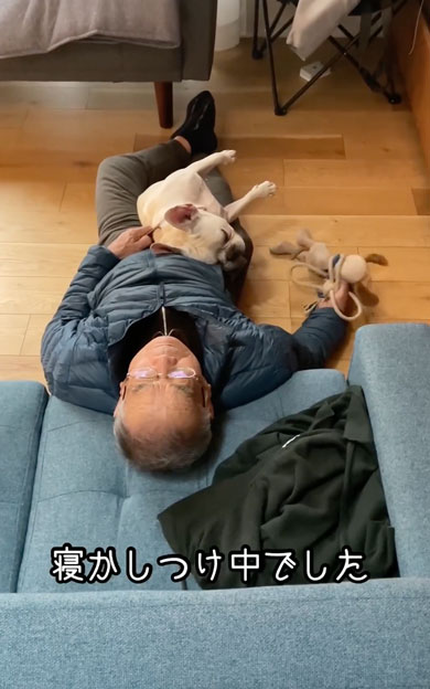 ワンコを寝かしつけるおじいちゃん