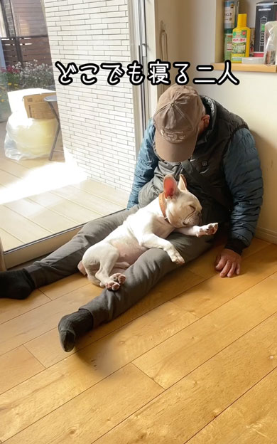 おじいちゃんとお昼寝をするワンコ