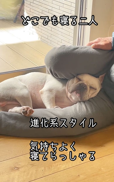 おじいちゃんとお昼寝をするワンコ