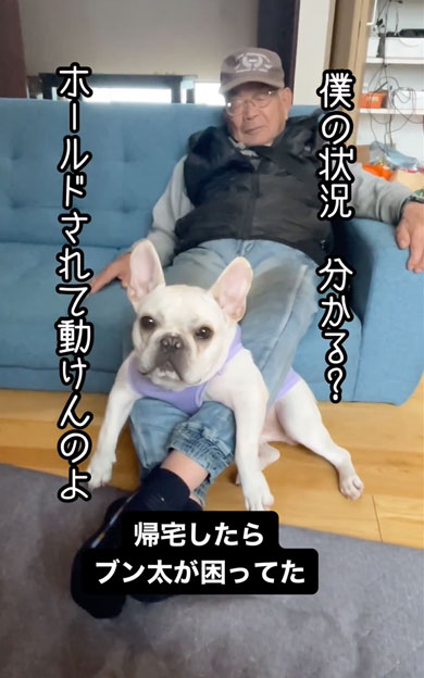 おじいちゃんとお昼寝をするワンコ