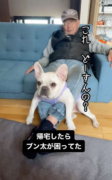 おじいちゃんとお昼寝をするワンコ