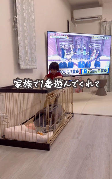 子犬をお迎えしてお姉さんになった女の子