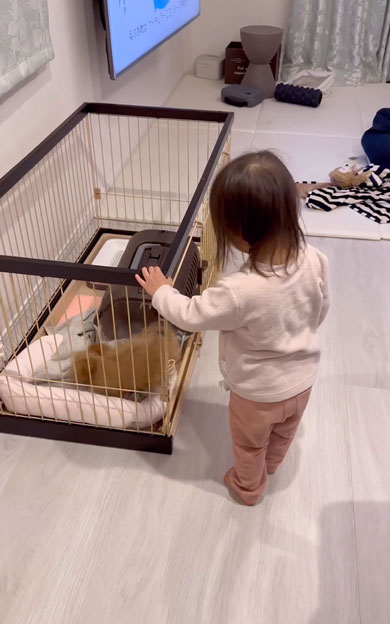 子犬をお迎えしてお姉さんになった女の子