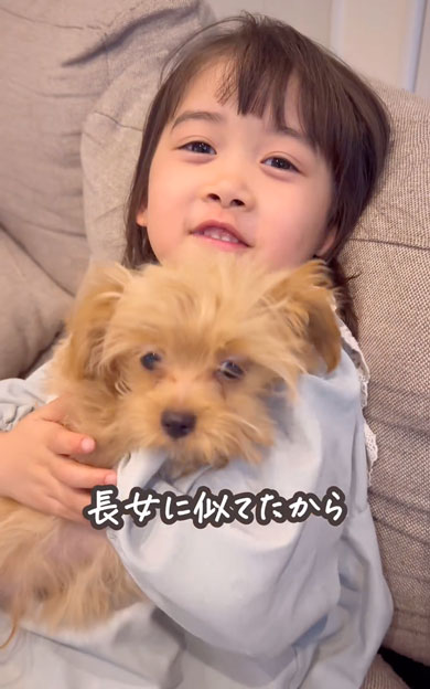 ワンコと女の子