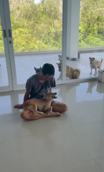 笑顔で走りまわるワンコ