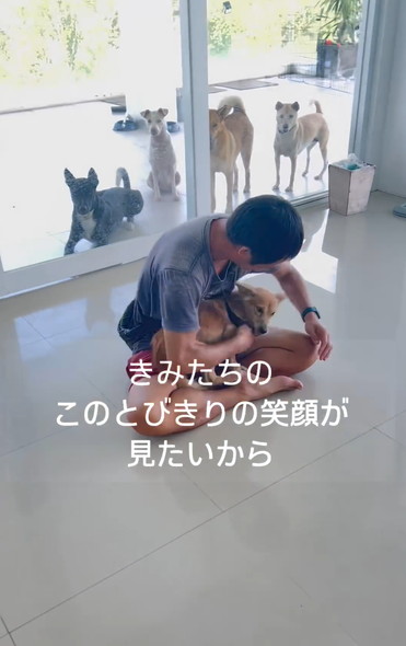 笑顔で走りまわるワンコ