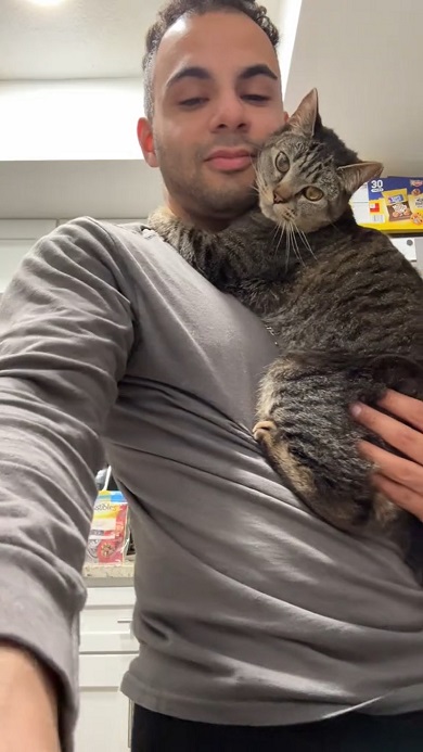 飼い主にしがみついたまま離れようとしない猫