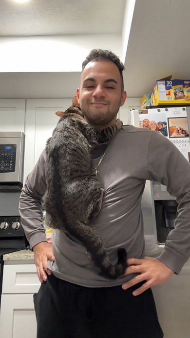 飼い主にしがみついたまま離れようとしない猫