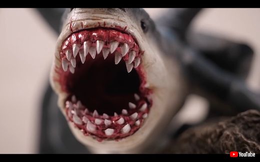 サメ ドラゴン シャーク キメラ ハイブリッド モンスター クリーチャー フィギュア 造形 粘土