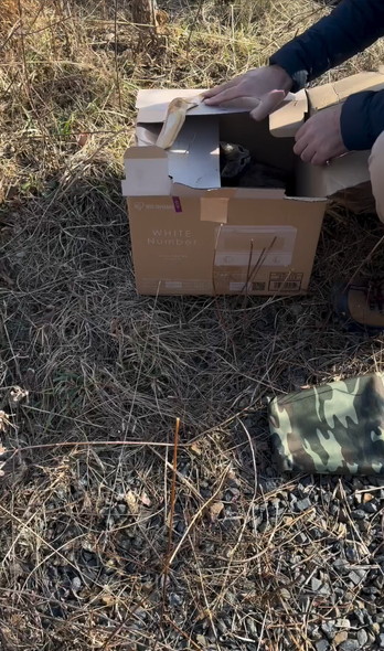 笑顔で走りまわるワンコ