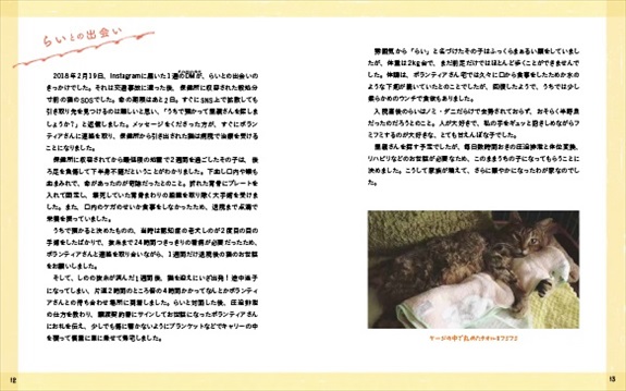 らい下半身不随の猫