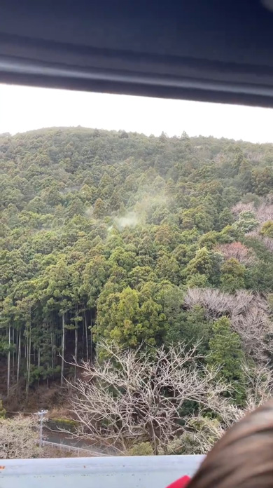 スギ 花粉 飛ぶ 瞬間 映像 始まった