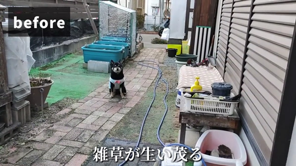 庭DIY