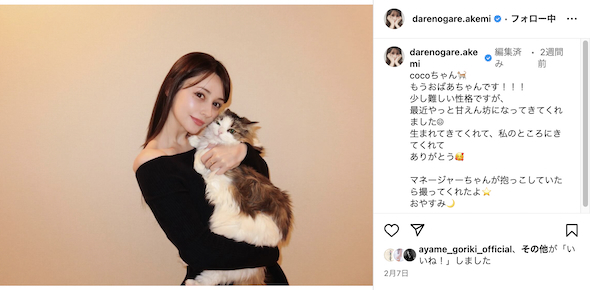 ダレノガレ明美