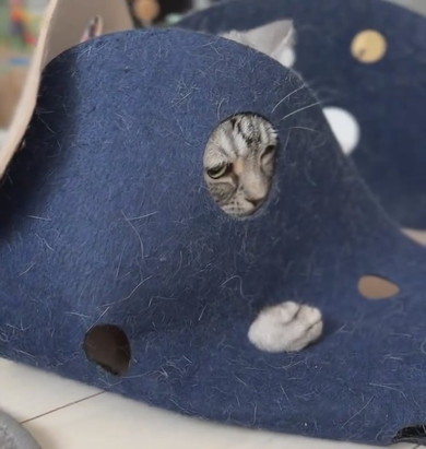 穴に顔を突っ込む猫ちゃん