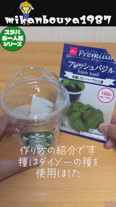 スタバの空カップを使ったバジルの水耕栽培