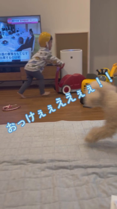 手押し車で遊ぶ3歳の男の子